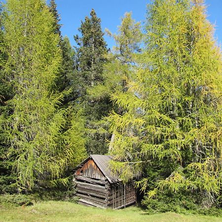 Pepis Ferienwohnungen Inklusive Sommercard Jerzens Exteriör bild
