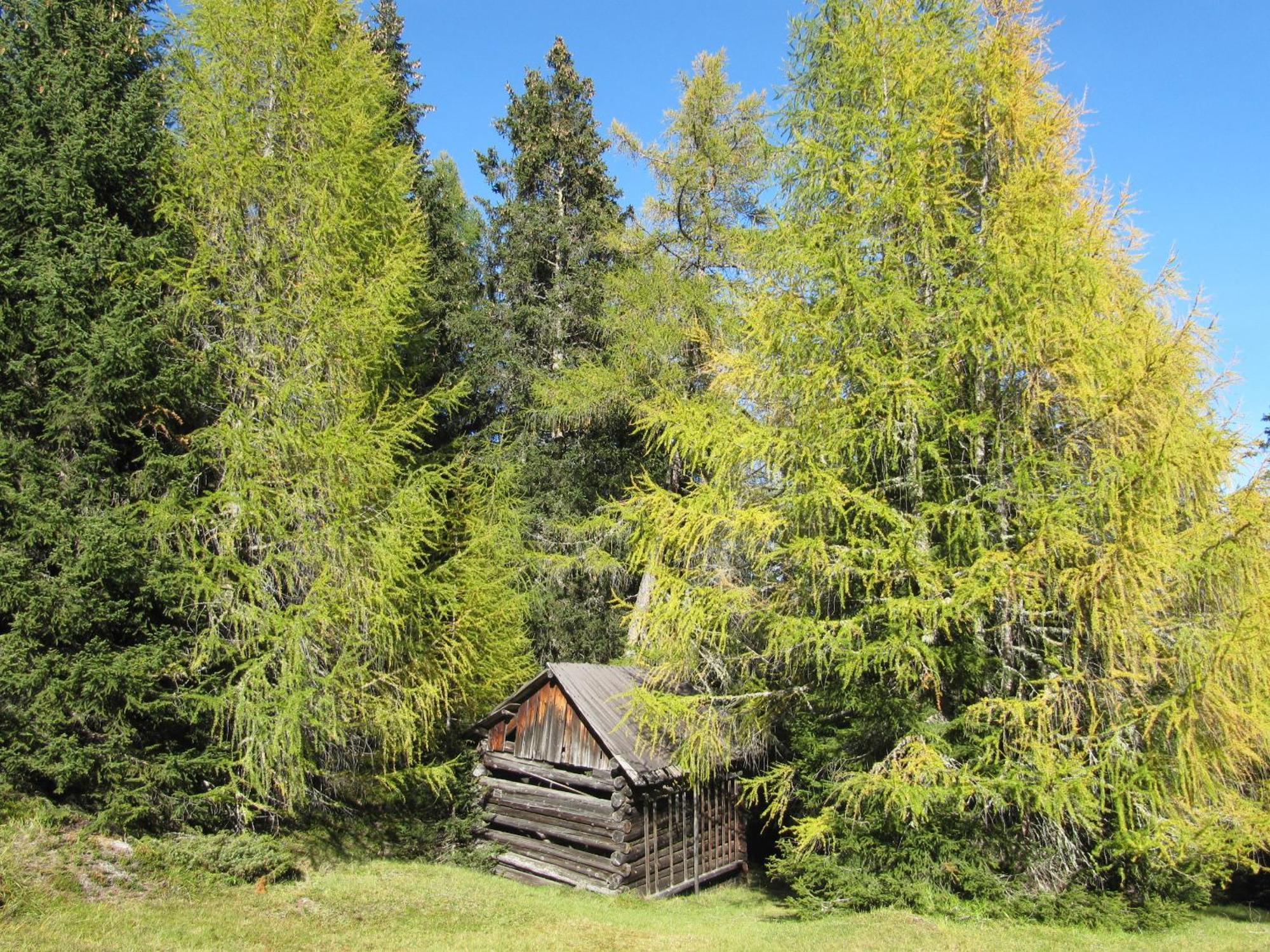 Pepis Ferienwohnungen Inklusive Sommercard Jerzens Exteriör bild